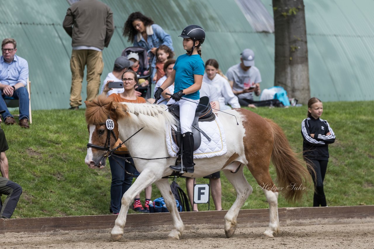 Bild 35 - Pony Akademie Turnier